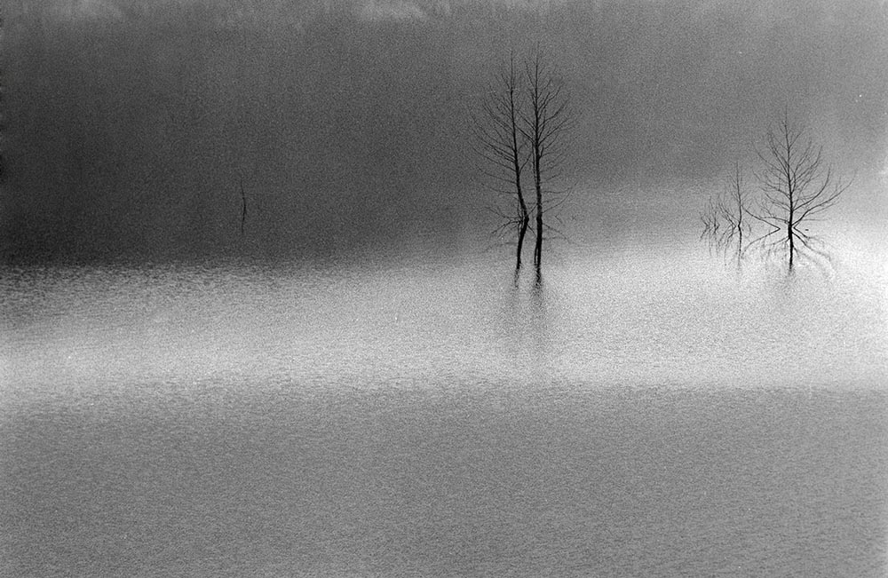 Año 1.964- Niebla en el pantano