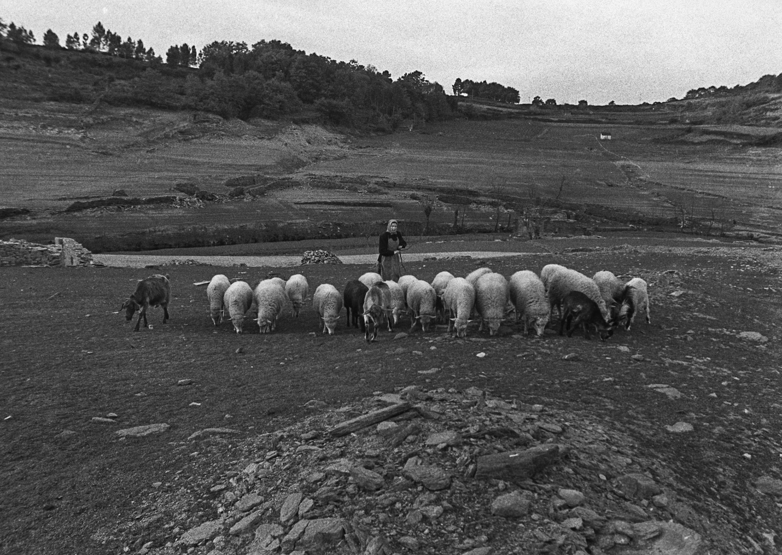 Año 1.970 - LA PASTORA