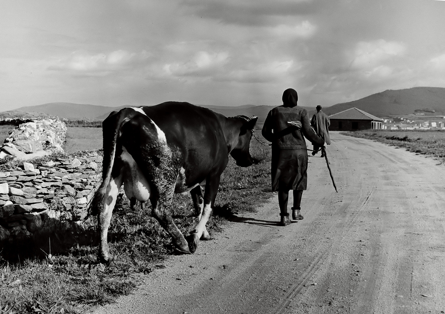 Año 1.970 - LA VACA LECHERA