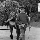 Año 1.972-El trabajo infantil