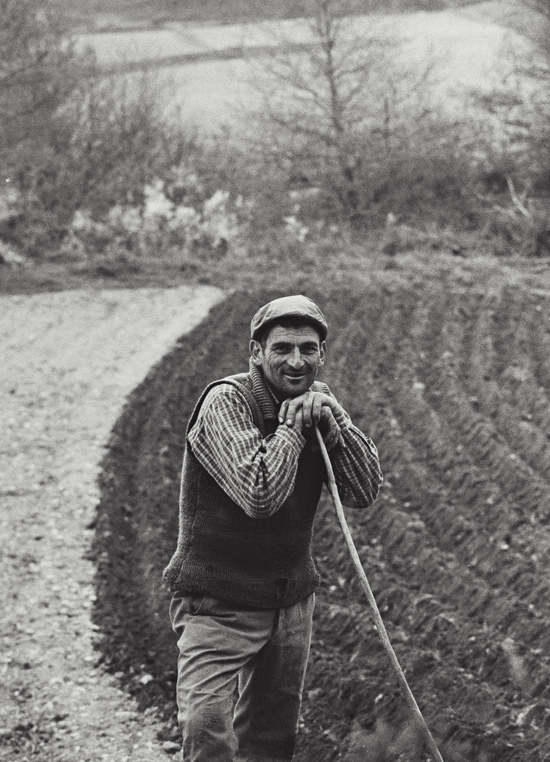 Año 1.975-RETRATO DE LABRADOR