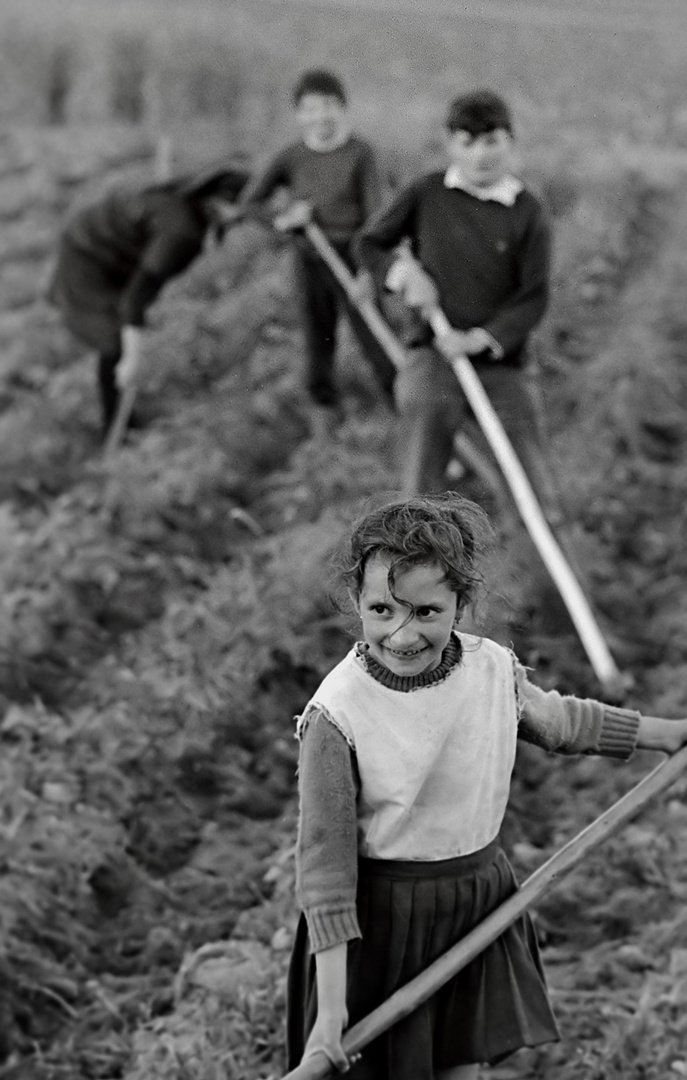 Año 1.976 - LOS PEQUEÑOS LABRADORES