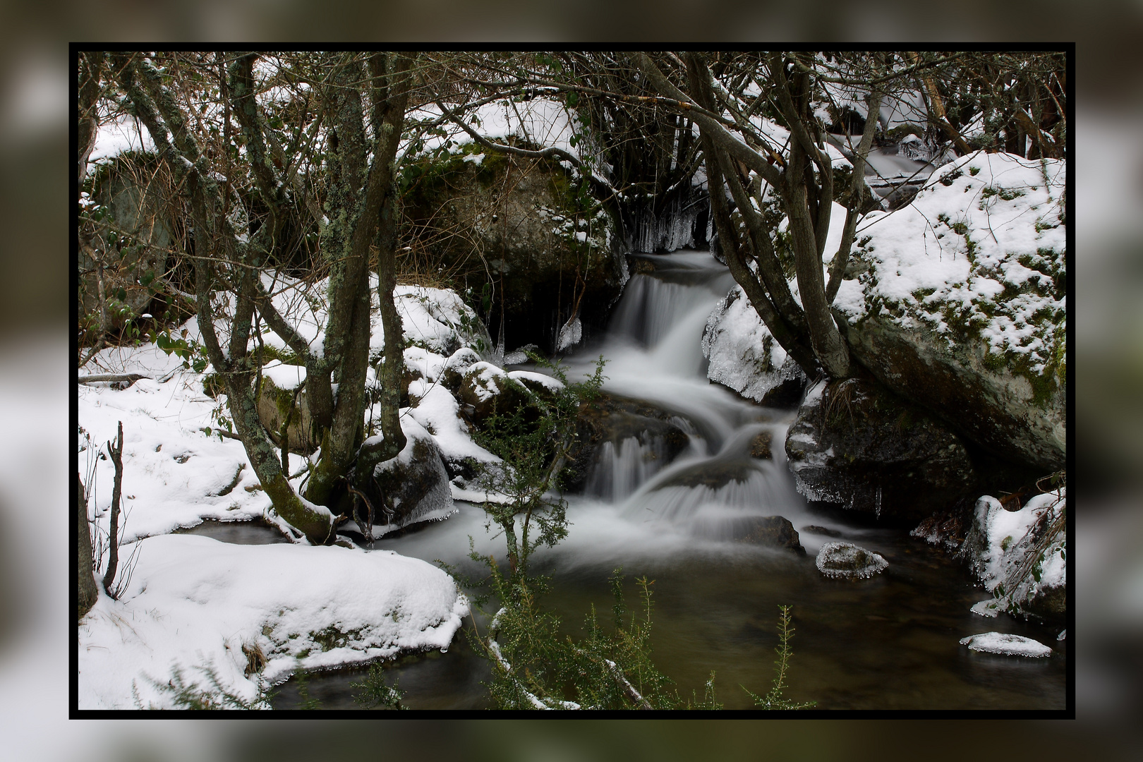 Año de nieves,.......