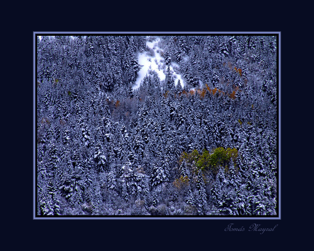 Año de Nieves..Año de Bienes