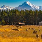 Aoraki, Mount Cook