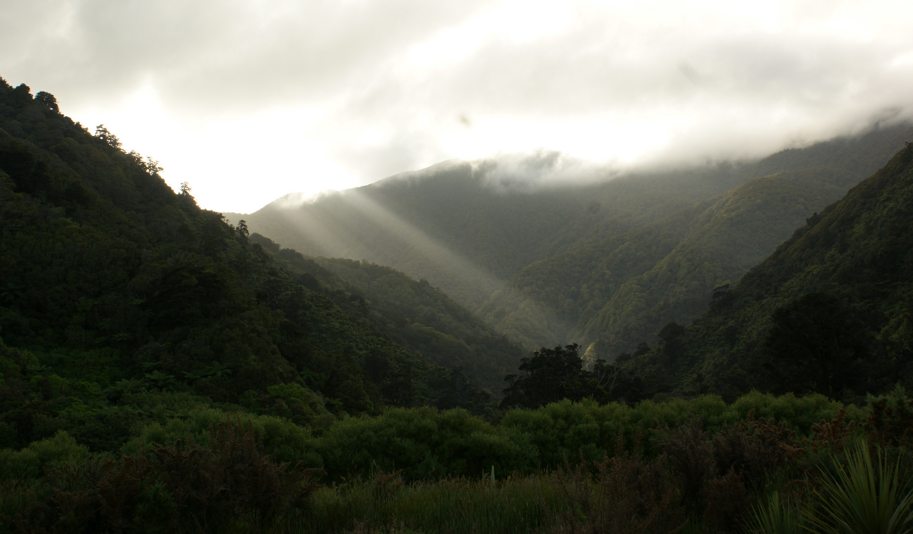 Aotearoa