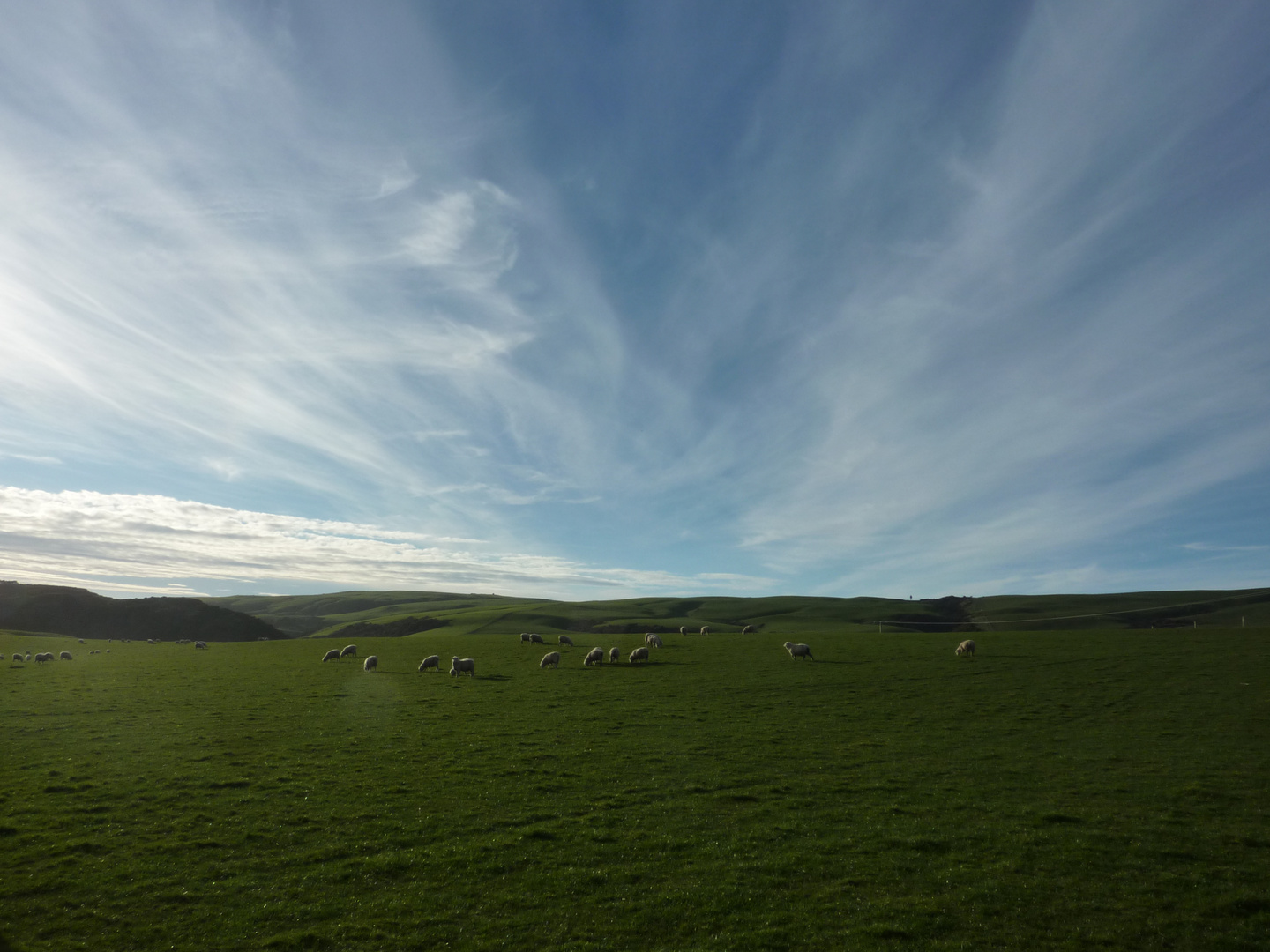 Aotearoa - Das Land der langen weißen Wolke