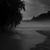 AP-Photoart