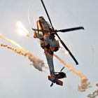 Apache Demo Team