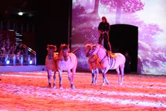 Apassionata 2011 / 3