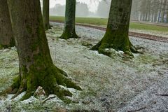 Apeldoorn - Het Loo Palace - 06