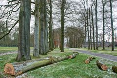 Apeldoorn - Het Loo Palace - 07