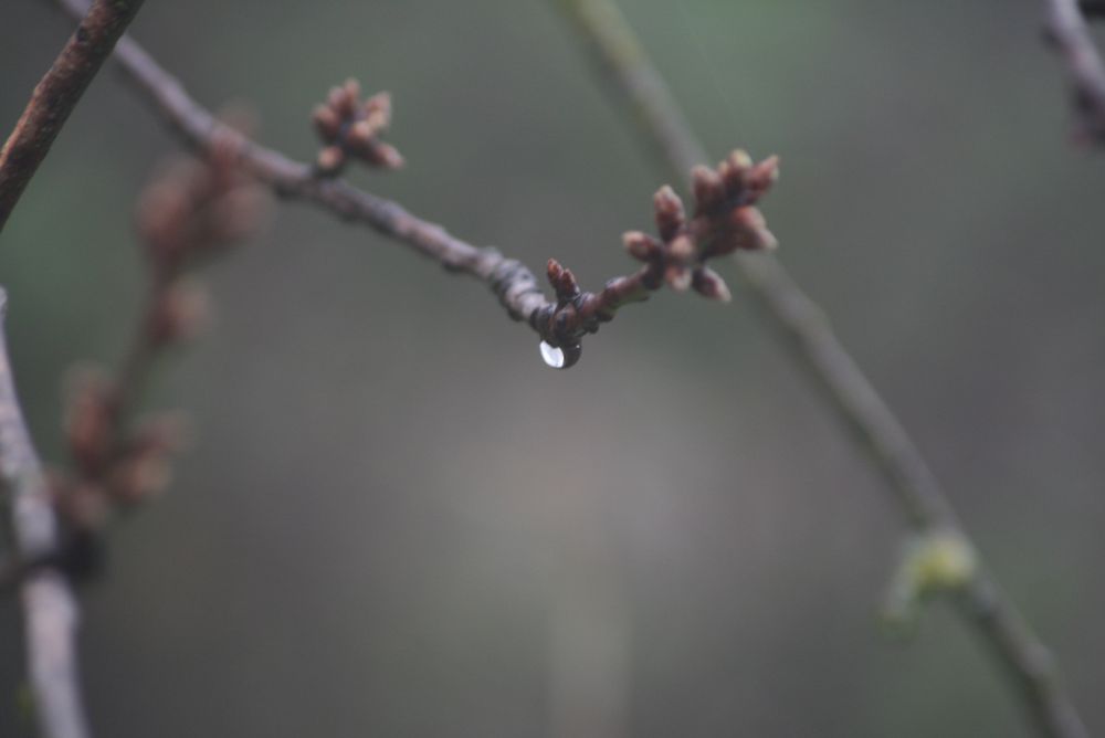 Apenas una gota