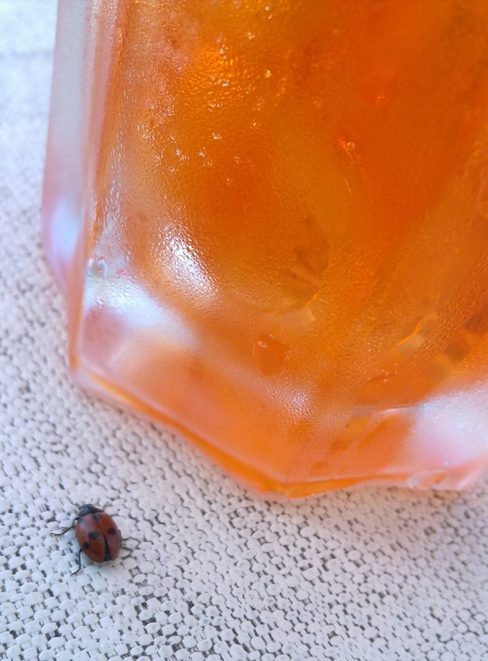 Aperitivo fortunato