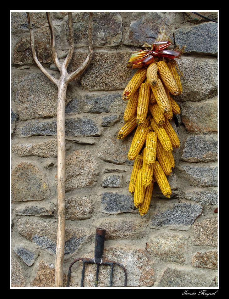 Aperos y Labranza-VALLE DE ARAN