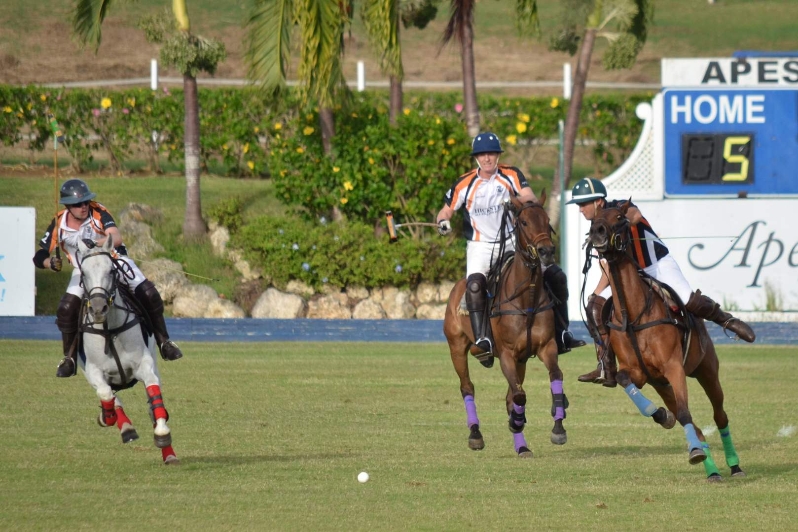 Apes Hill Polo Club / Barbados