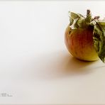 Apfel