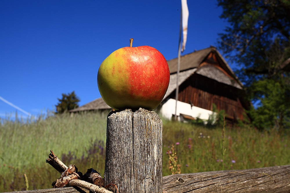 Apfel