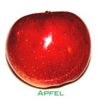 Apfel