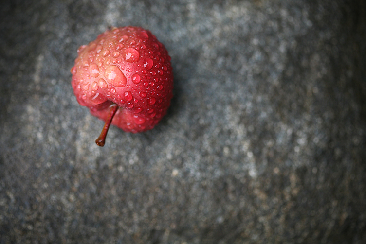 Apfel an Stein