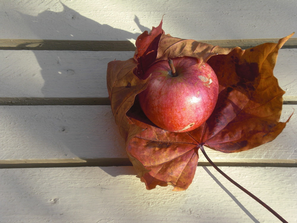 Apfel auf Blatt