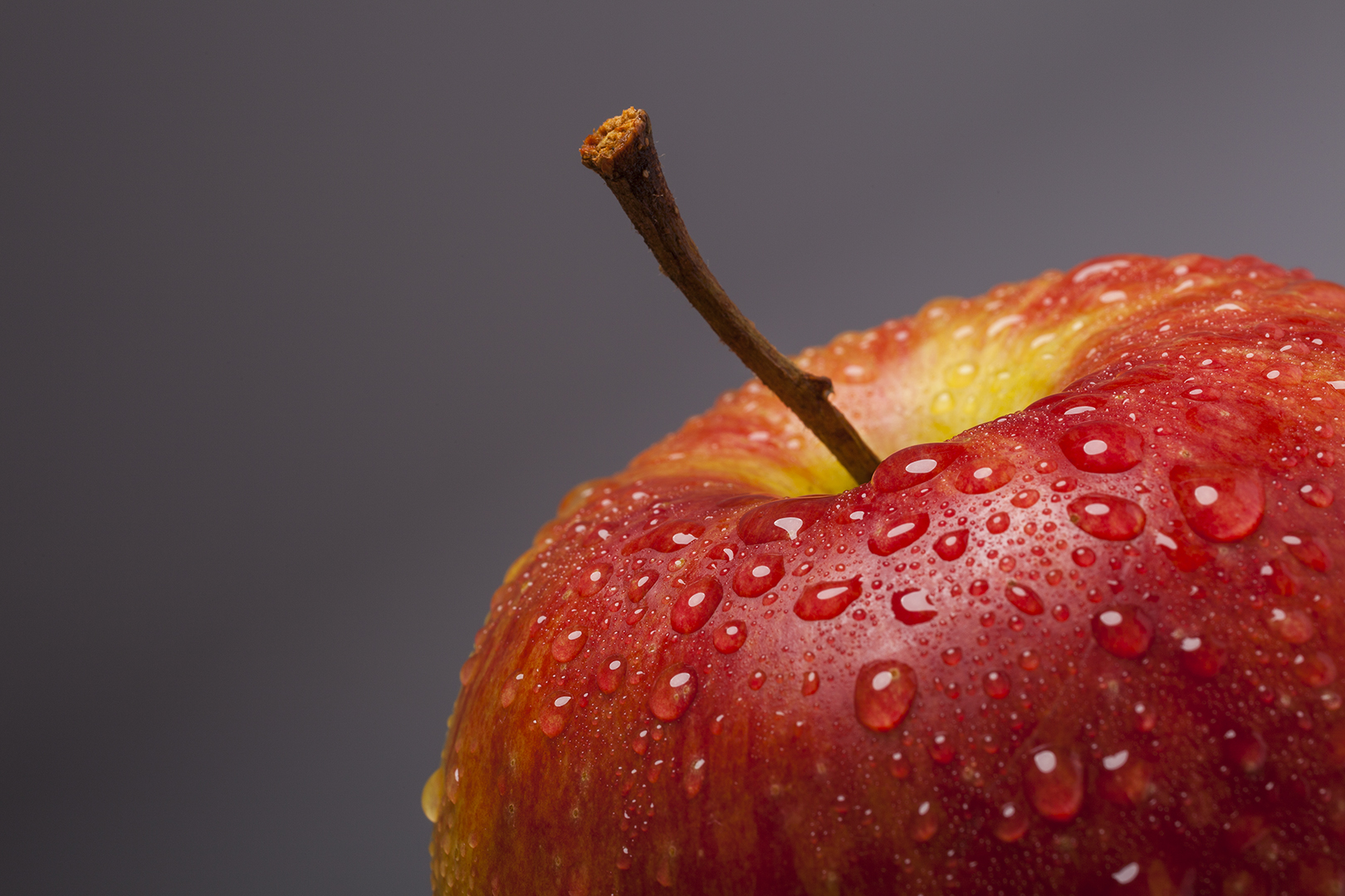 Apfel Foto & Bild | stillleben und makro, rot, makro Bilder auf