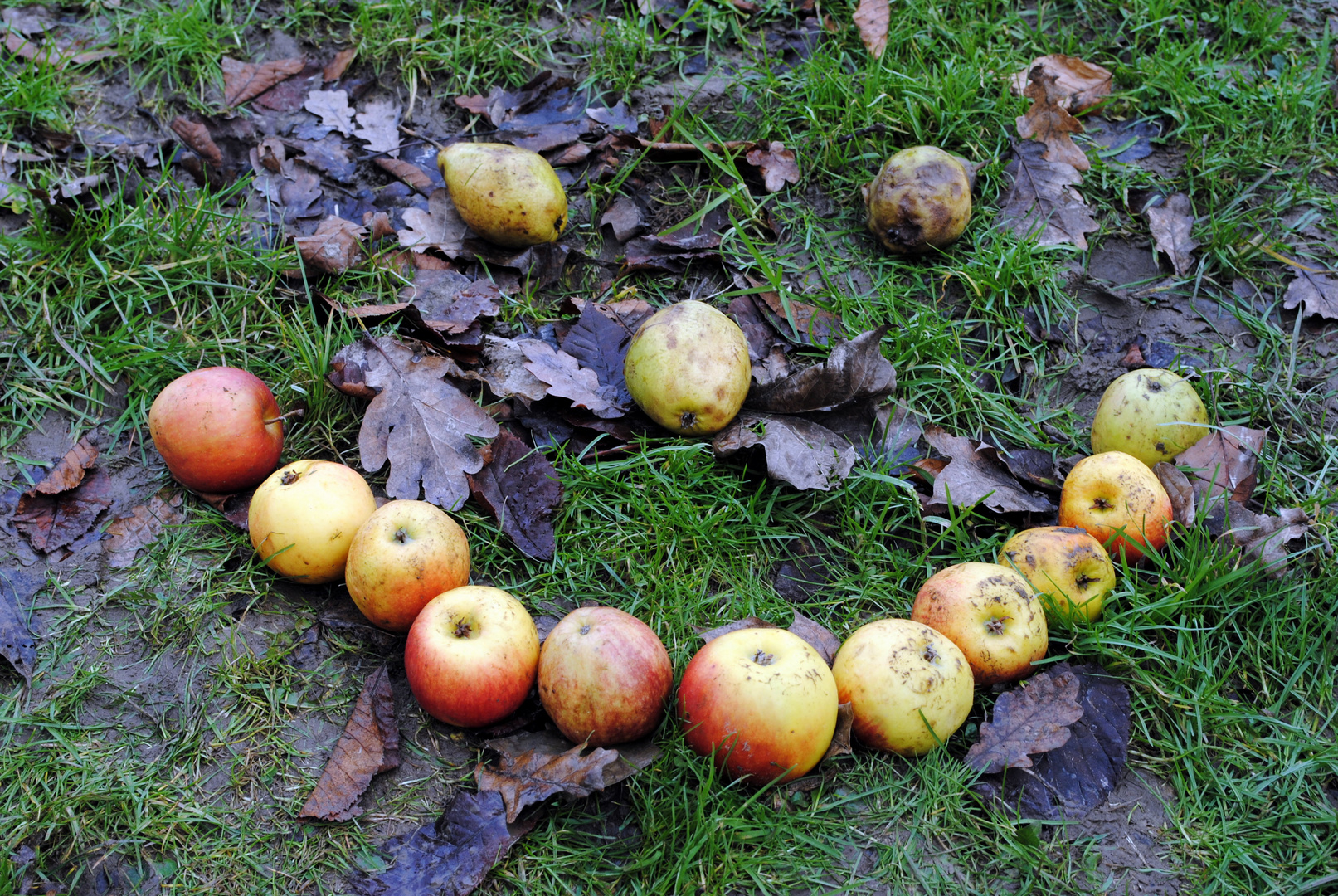 Apfel-Birnen-Smiley