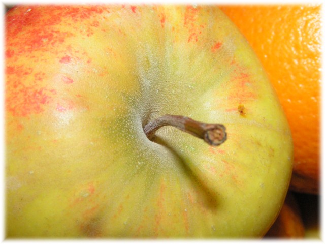 Apfel