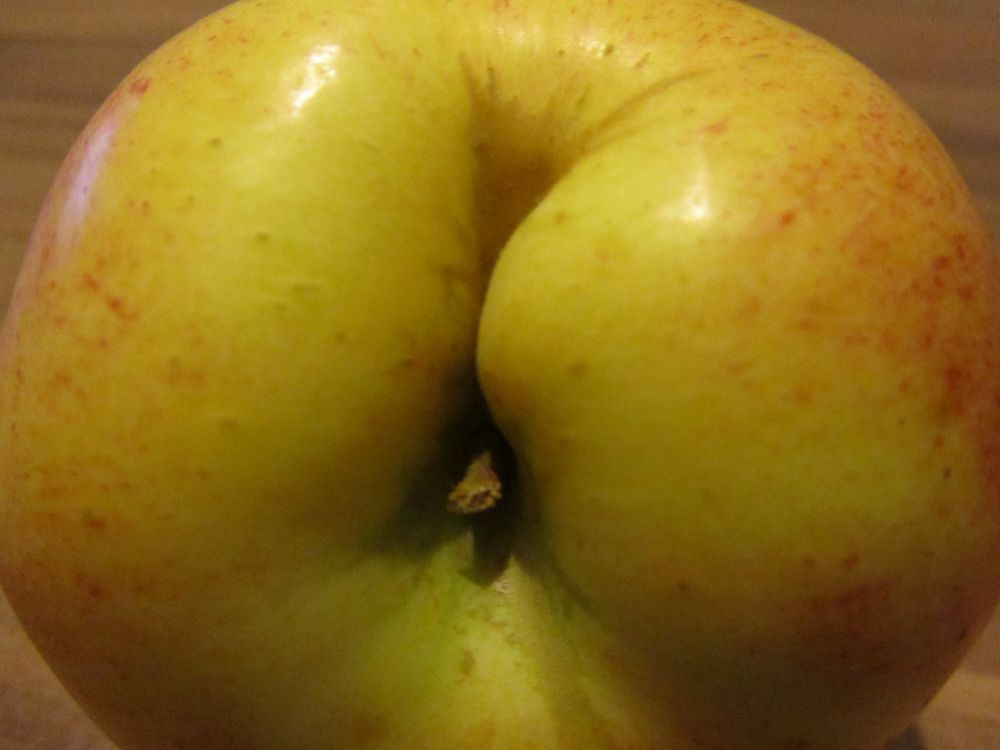 Apfel von Skenda 