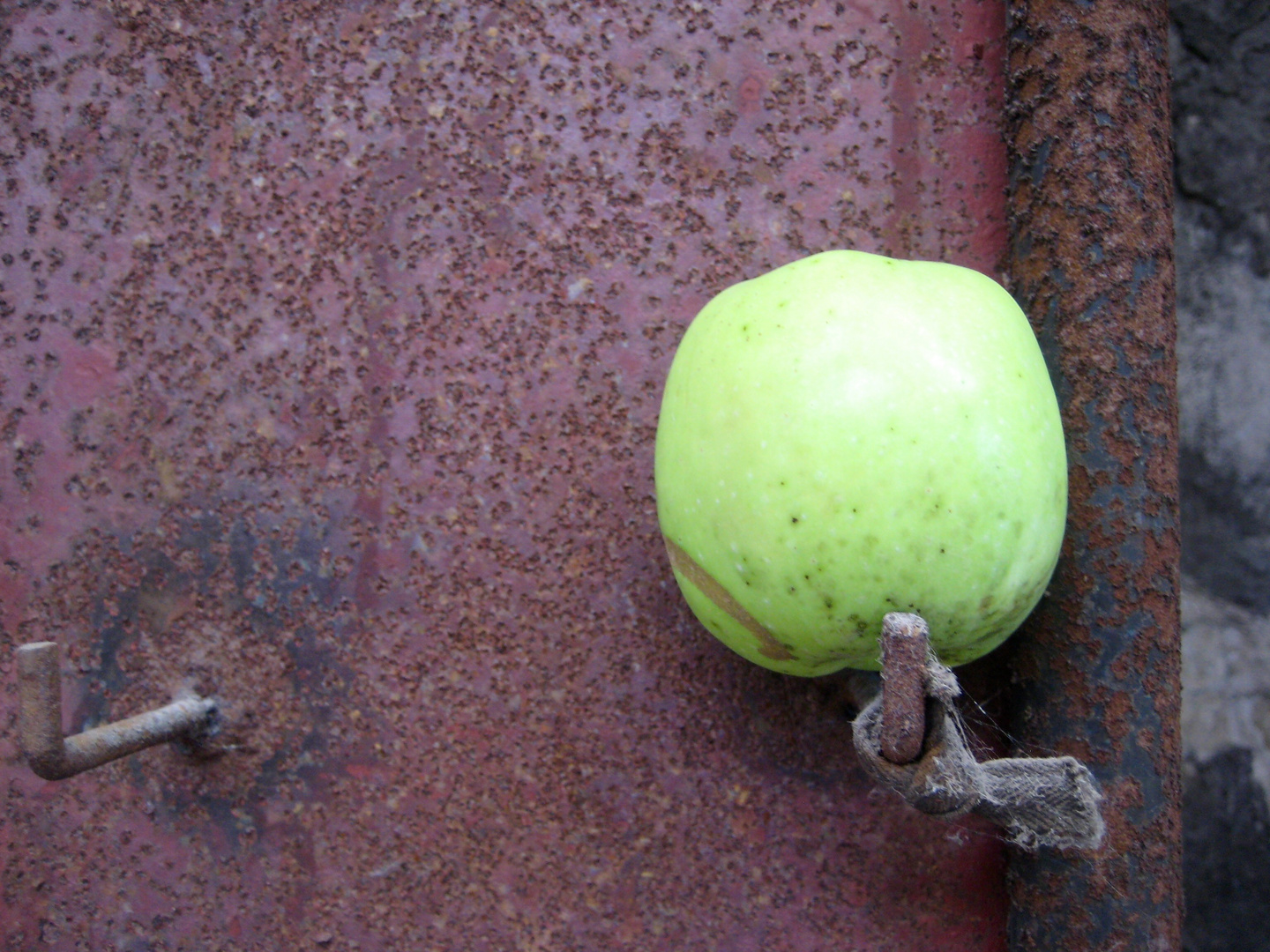 Apfel, grün