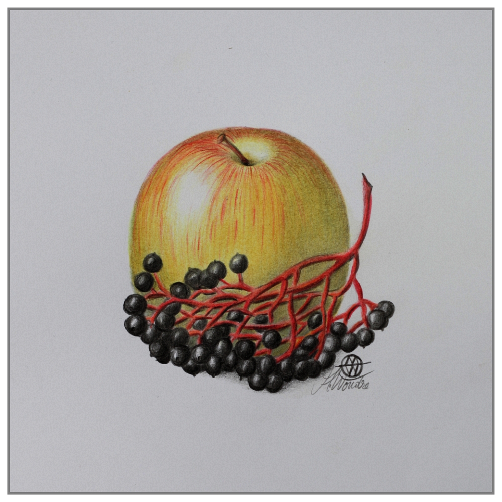 Apfel - Holunder Foto &amp; Bild | kunstfotografie &amp; kultur, gemälde ...