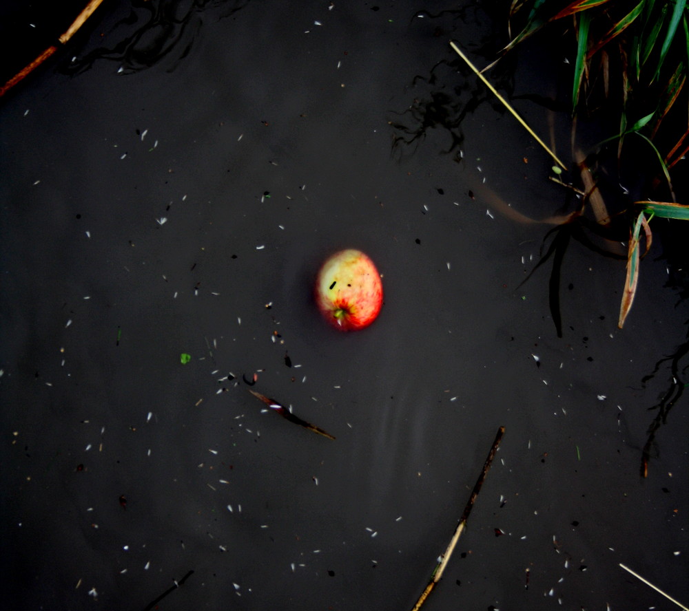 Apfel im Fluss.