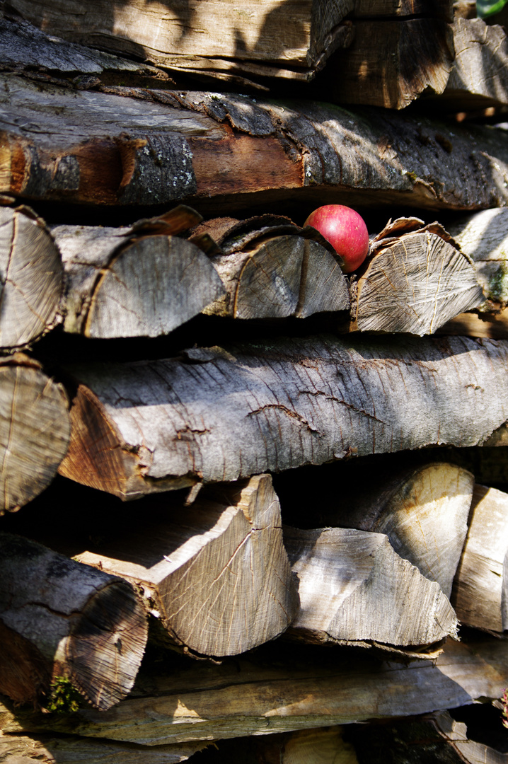 Apfel im Holzstapel