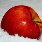 Apfel im Schnee