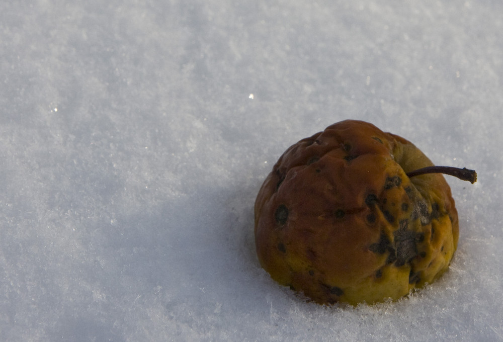 Apfel im Schneeflockenhaufen