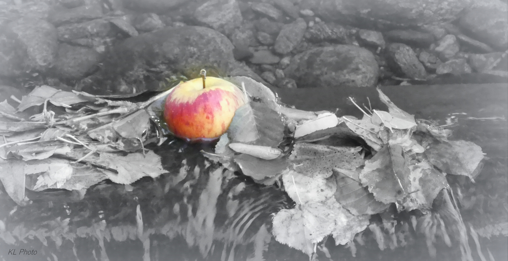 Apfel im Wasser