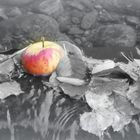 Apfel im Wasser