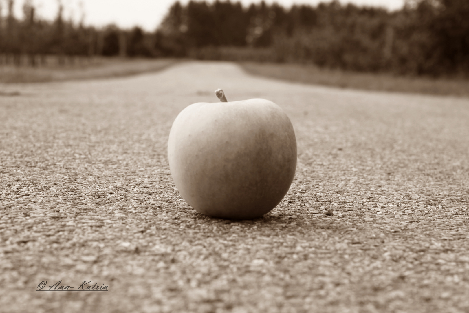 Apfel in der Plantage