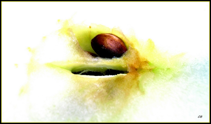 Apfel ' inside '