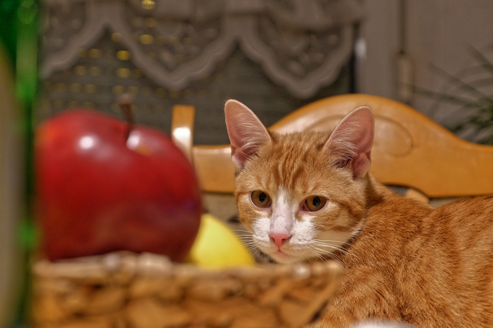 Apfel, Nein Danke 