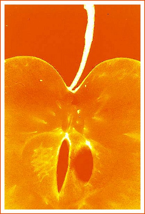 Apfel Orange von Peter Böhm