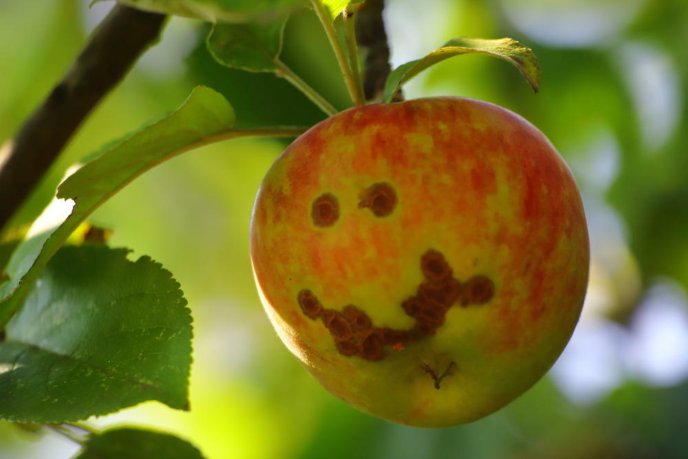 Apfel-Smiley