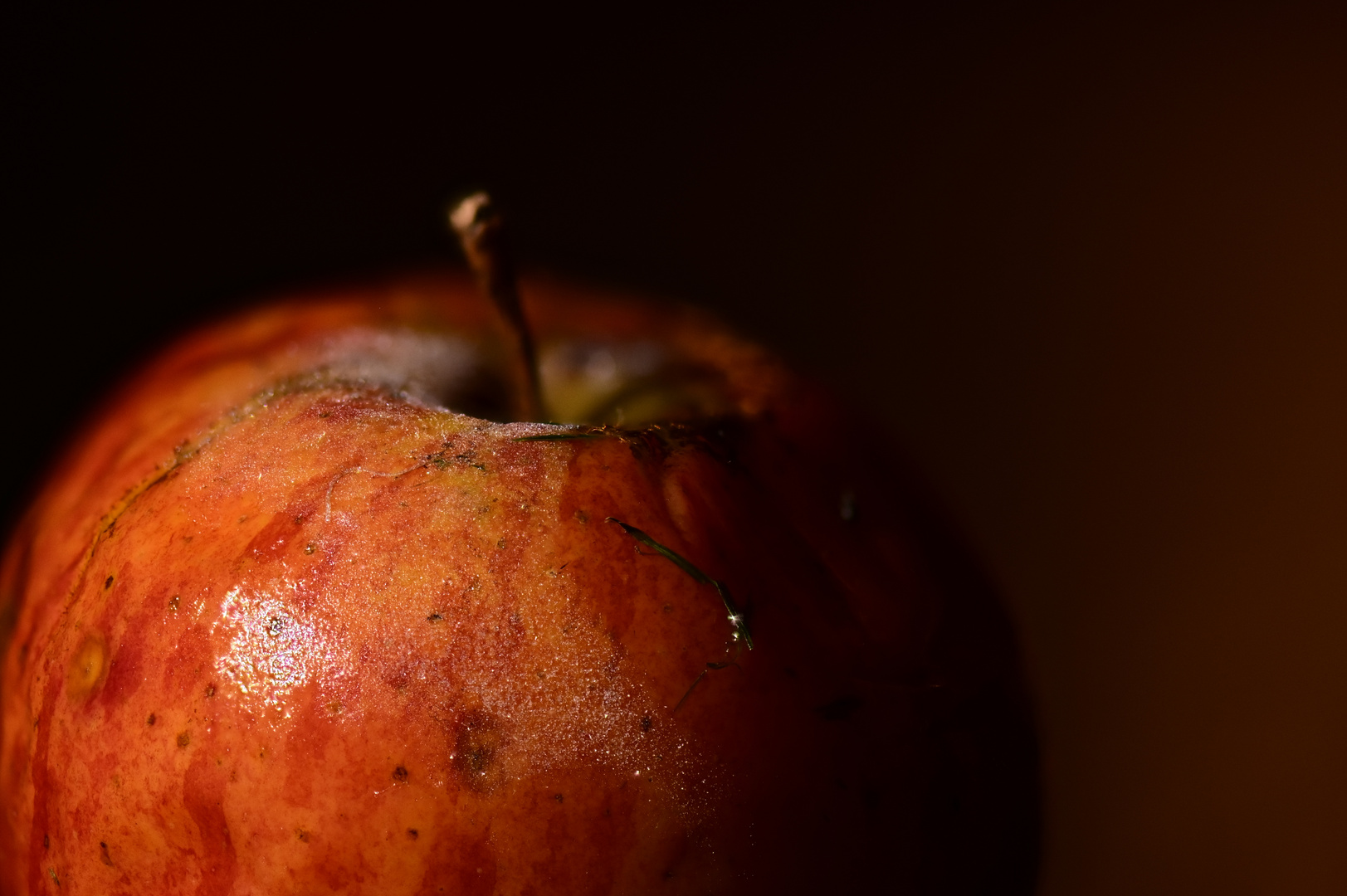 Apfel, Studie in Rot