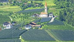 APFEL UND WEIN BEI SCHENNA