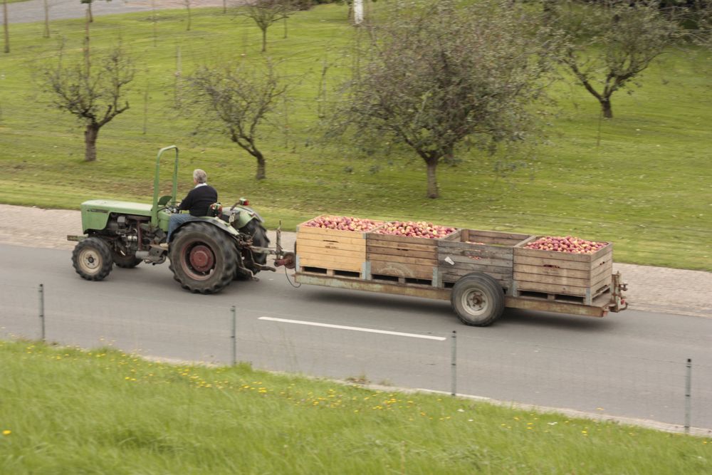 Apfelbauer bei der Arbeit