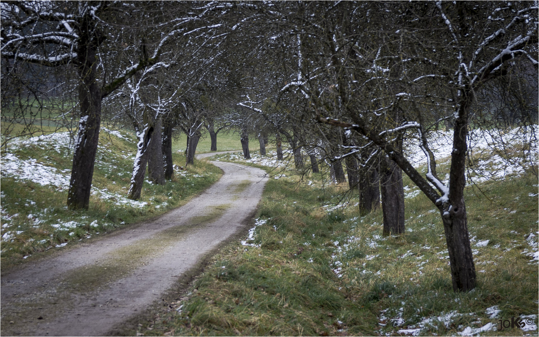 Apfelbaum-Allee