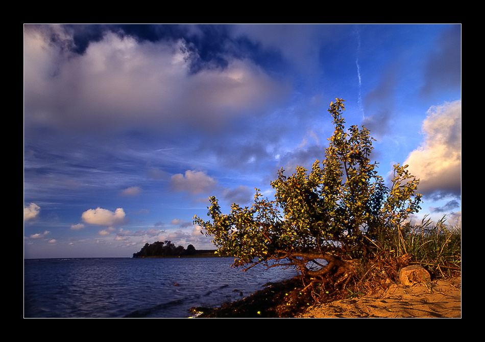 Apfelbaum am Wasser...