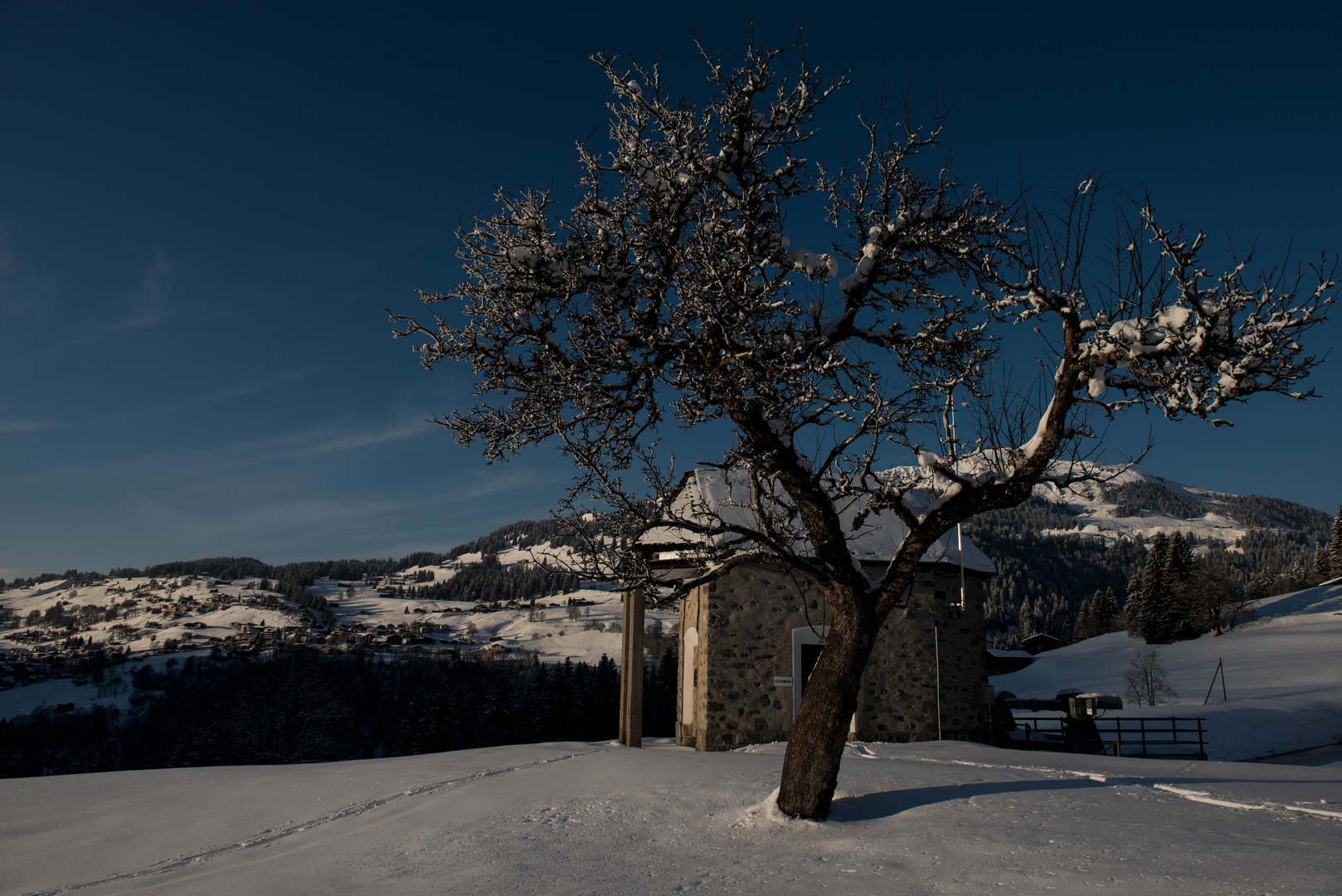 Apfelbaum und Wasserschloss