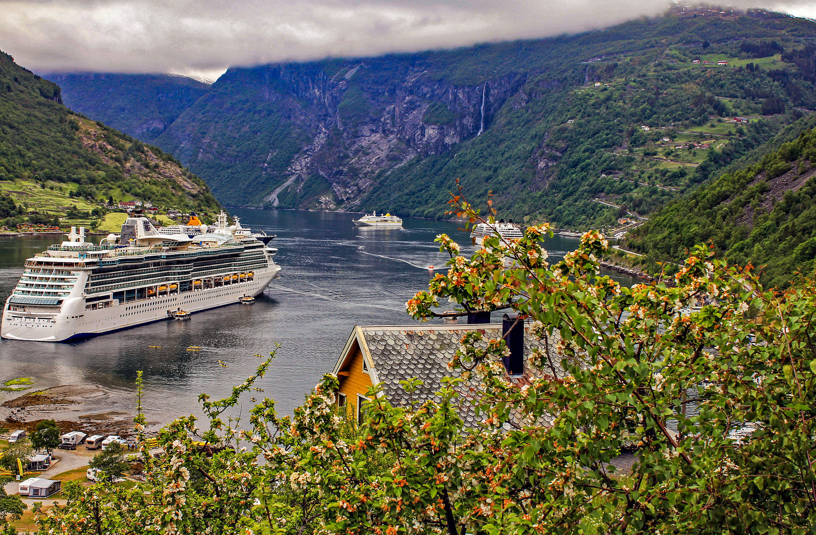 Apfelblüte im Fjord