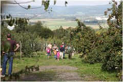 Apfelernte-Picknick 2010